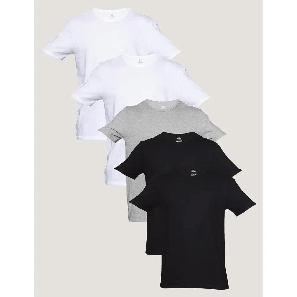 Kit Com 5 Camisetas Básicas Masculina Hering Preto, Branco E Cinza Liso G